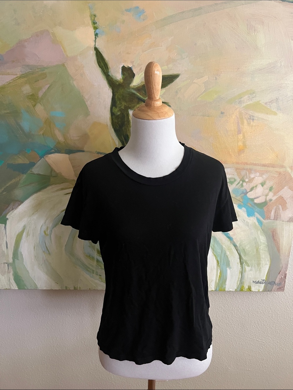 PERFECTWHITETEE 100% cotton short sleeve tee in black XS